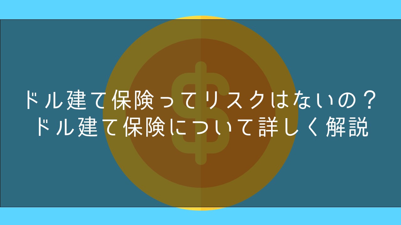 ドル建て保険ってリスクはないの ドル建て保険について詳しく解説 保険ブリッジ